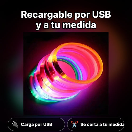 Infografía: collar LED para perros visible de noche