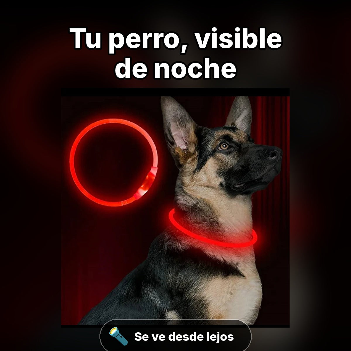 Infografía: collar LED para perros recargable por USB