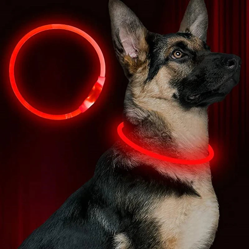 Collar LED recargable USB para perros, imagen 5