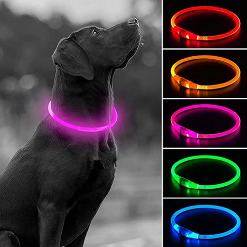 Collar LED recargable USB para perros, vista principal