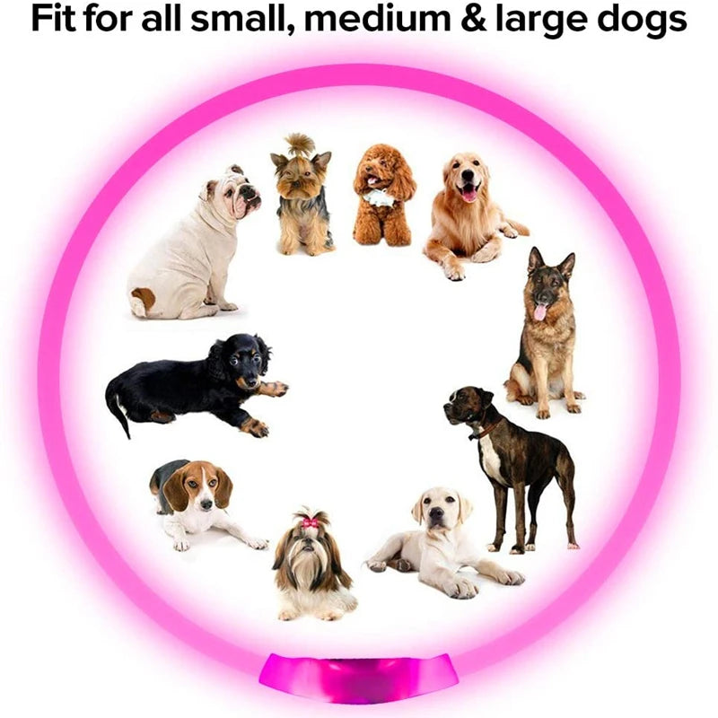 Collar LED recargable USB para perros, imagen 7